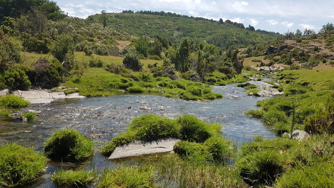3,7º bajo cero a mediados de junio en Cantalojas (Guadalajara)