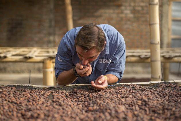 "La complejidad aromática del cacao es similar a la del vino". "La complejidad aromática del cacao es similar a la del vino".