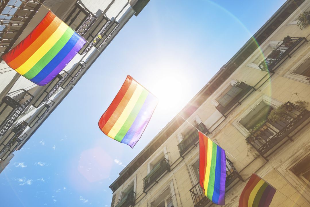 Los colectivos LGTBIQ+ exigen un pacto político para proteger sus derechos Los colectivos LGTBIQ+ exigen un pacto político para proteger sus derechos