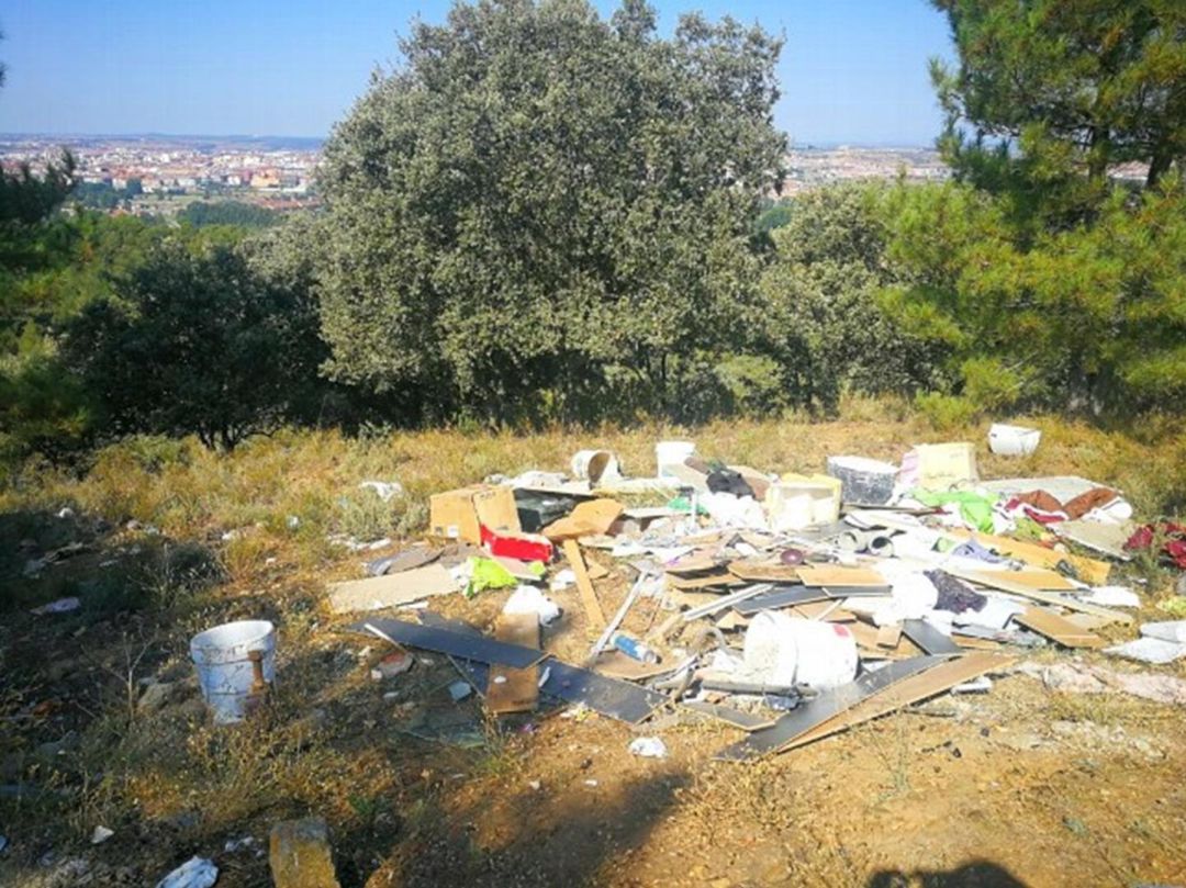 Limpiar la basura de las zonas verdes es el objetivo del programa "LIBERA" Limpiar la basura de las zonas verdes es el objetivo del programa "LIBERA"