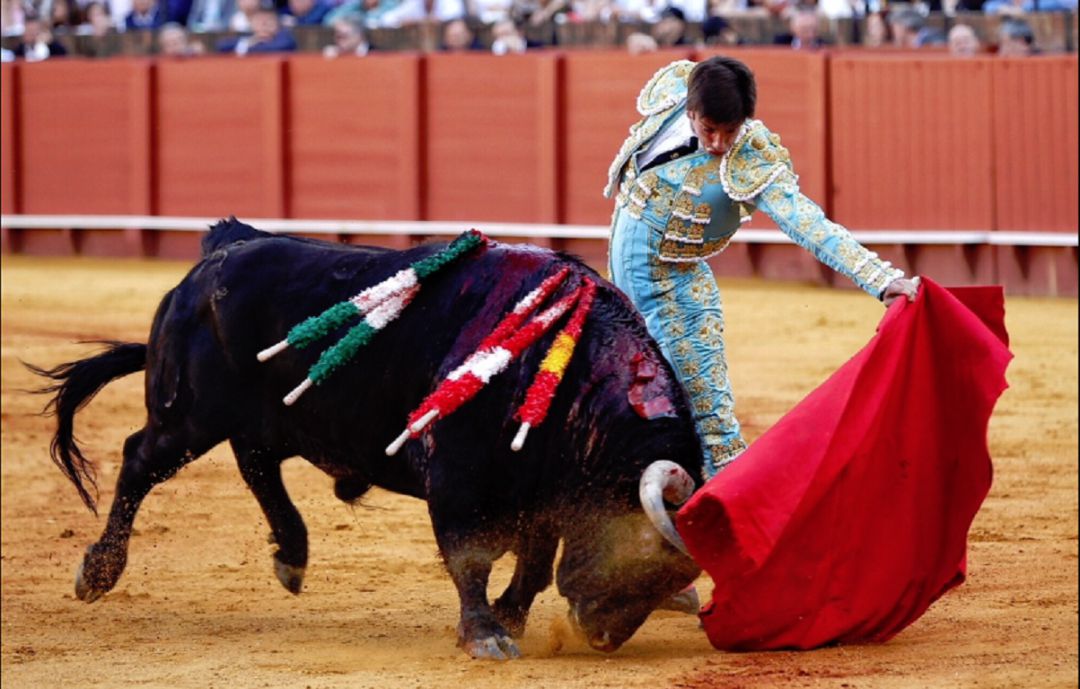 Emilio Silvera ya toreó la tarde del Corpus en Sevilla el pasado año, cortando una oreja a su segundo oponente Emilio Silvera ya toreó la tarde del Corpus en Sevilla el pasado año, cortando una oreja a su segundo oponente