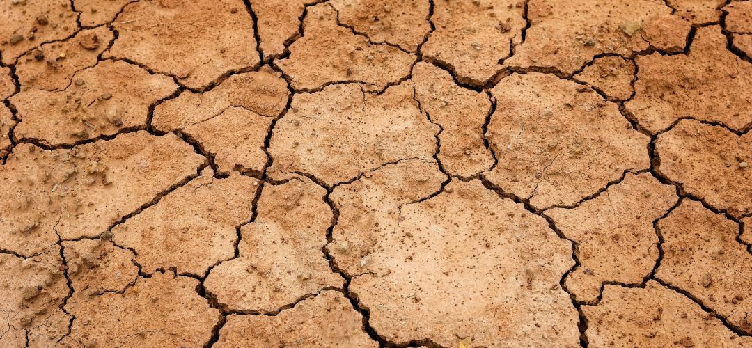 El 20% de nuestro territorio padece una degradación irreversible a corto plazo El 20% de nuestro territorio padece una degradación irreversible a corto plazo