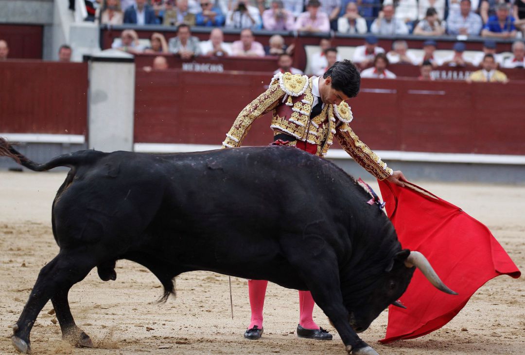 El diestro Pablo Aguado con su primero en la tradicional Corrida de la Prensa, último festejo de la Feria de San Isidro, celebrada el pasado domingo en la Monumental de Las Ventas El diestro Pablo Aguado con su primero en la tradicional Corrida de la Prensa, último festejo de la Feria de San Isidro, celebrada el pasado domingo en la Monumental de Las Ventas