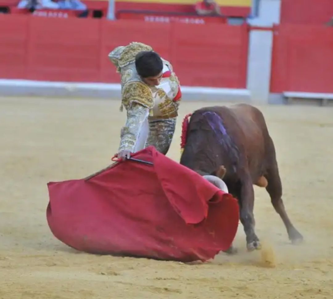 El triunfador del II Certamen de Novilladas de la Fundación de José Tomás, Emiliano Robledo, durante su actuación el pasado lunes en Granada El triunfador del II Certamen de Novilladas de la Fundación de José Tomás, Emiliano Robledo, durante su actuación el pasado lunes en Granada