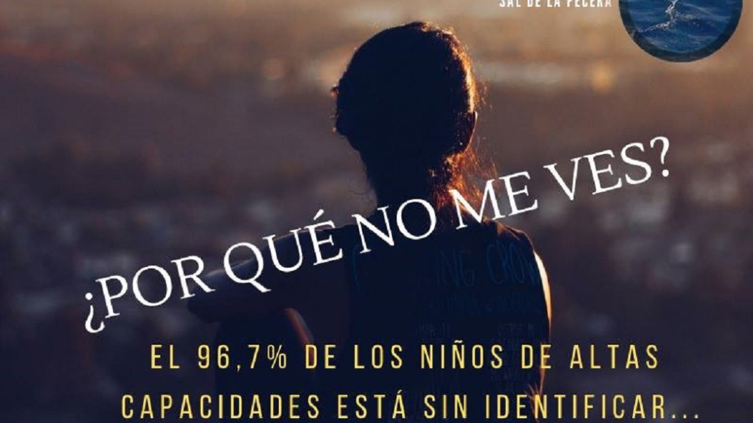 Las asociaciones de Altas Capacidades exigen más atención educativa