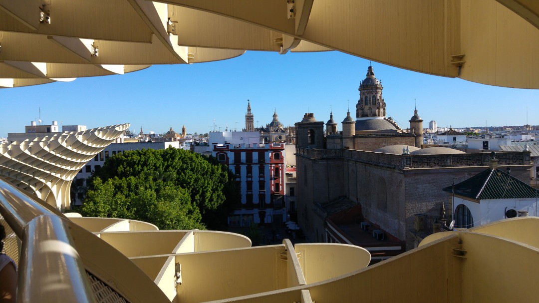 Las setas