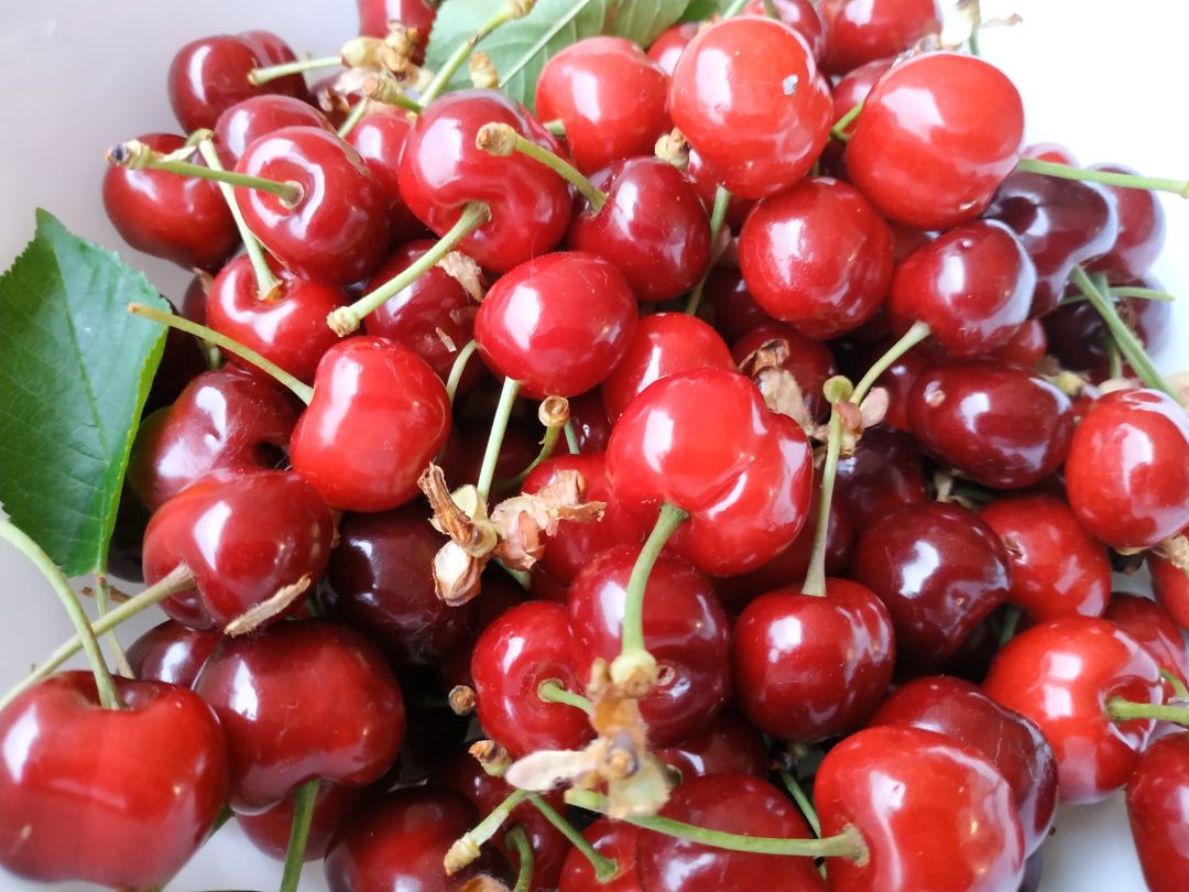 Cerezas bercianas Cerezas bercianas