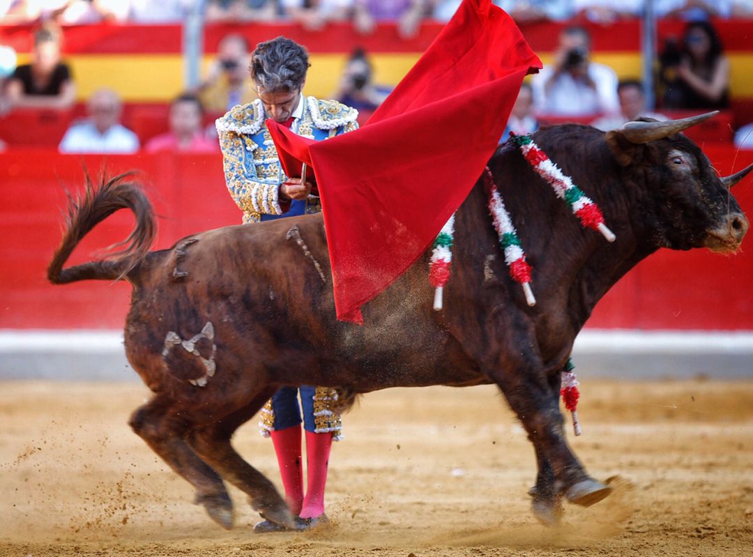 José Tomás torea en Granada José Tomás torea en Granada