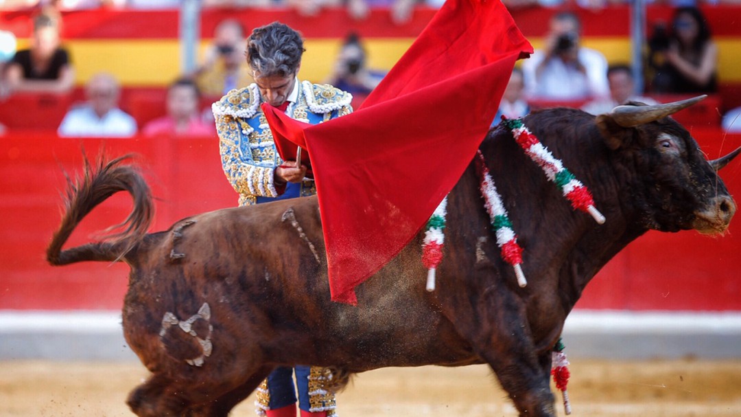 ¡Viva el Rey!