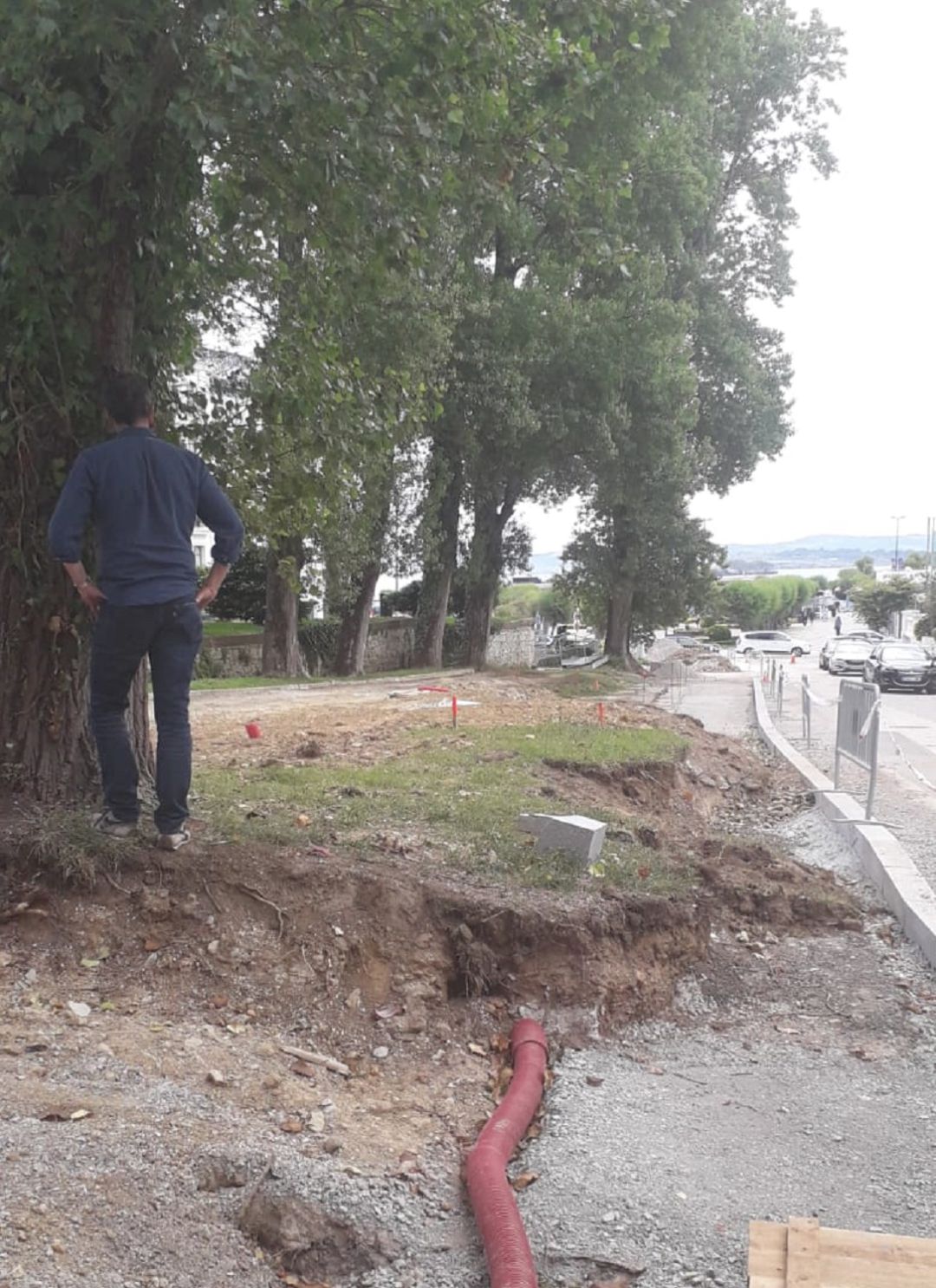 Imagen captada por ARCA en la zona donde se ha llevado a cabo la tala de árboles. Imagen captada por ARCA en la zona donde se ha llevado a cabo la tala de árboles.