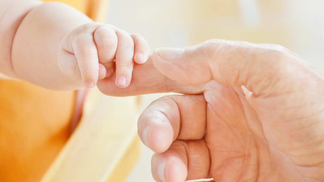 Las personas transexuales podrán acceder a las técnicas de preservación de la fertilidad en la sanidad valenciana