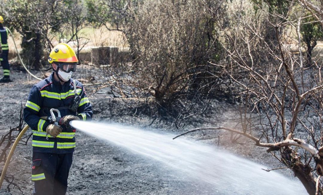 Imágenes del incendio en la A-7, a la altura de El Campello Imágenes del incendio en la A-7, a la altura de El Campello