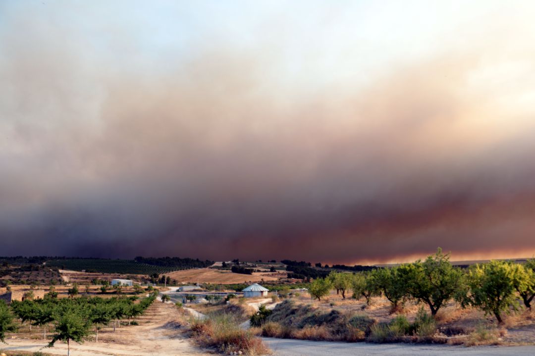Els bombers tanquen part del perímetre de l'incendi de la Ribera d'Ebre Els bombers tanquen part del perímetre de l'incendi de la Ribera d'Ebre