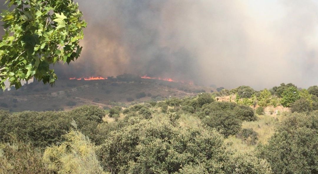 Incendio de Montesion y La Bastida Incendio de Montesion y La Bastida