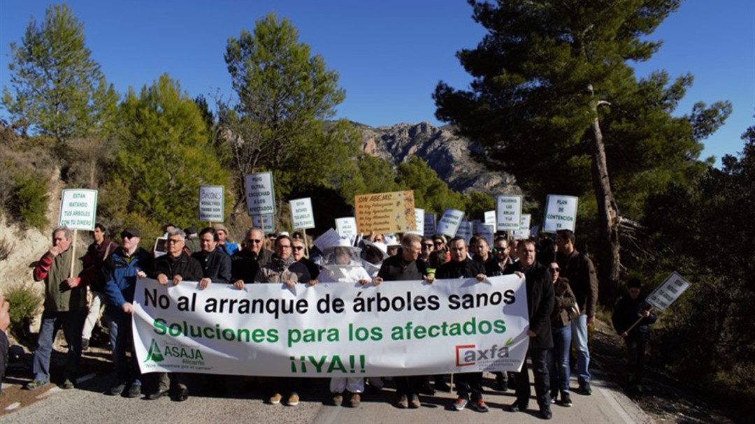 AXFA pide a Mollà que la reunión prometida sea en una zona devastada