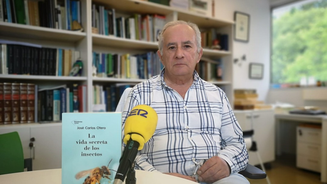 "Sin insectos el ser humano no duraría ni 50 años en la Tierra"