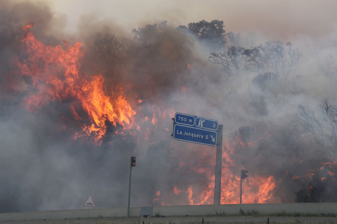 Imatge de l'incendi del 2012 Imatge de l'incendi del 2012