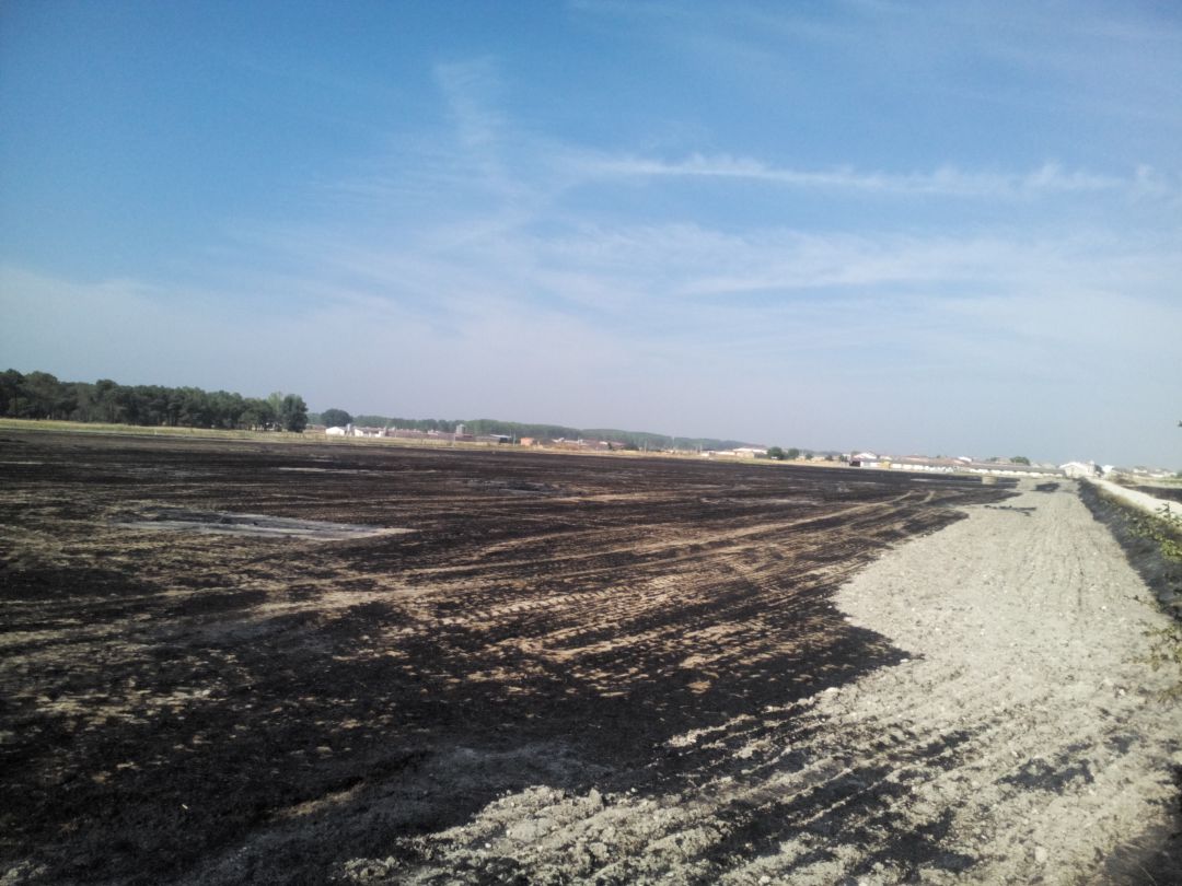 Restos del fuego en un incendio producido en la provincia de Segovia hace un par de años Restos del fuego en un incendio producido en la provincia de Segovia hace un par de años