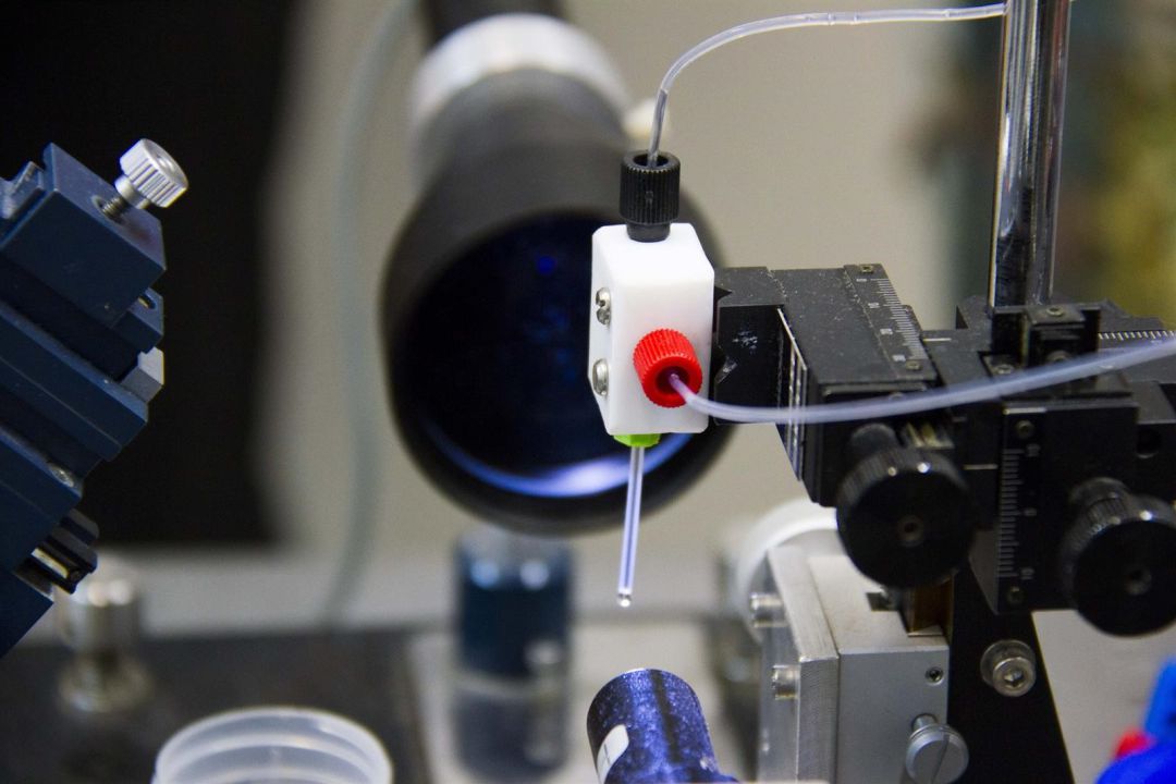 Investigación y posicionamiento internacional, motivaciones de la UGR Investigación y posicionamiento internacional, motivaciones de la UGR