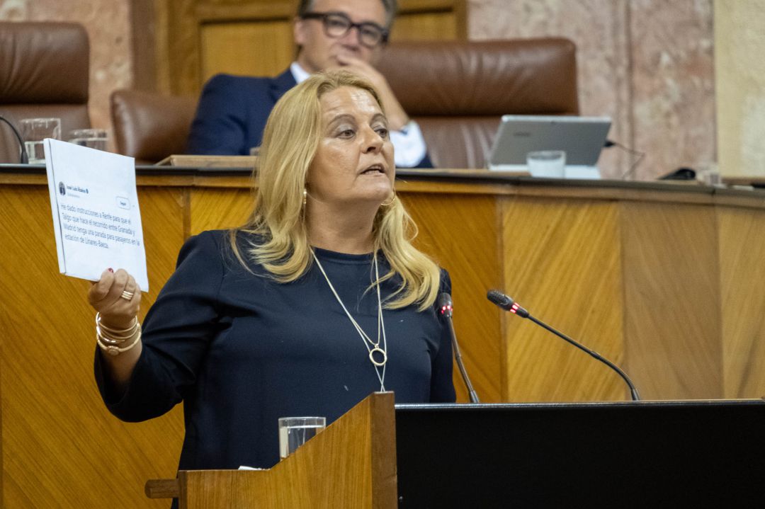 La diputada autonómica Ángela Hidalgo defiende la PNL sobre el ferrocarril en el Parlamento de Andalucía. La diputada autonómica Ángela Hidalgo defiende la PNL sobre el ferrocarril en el Parlamento de Andalucía.