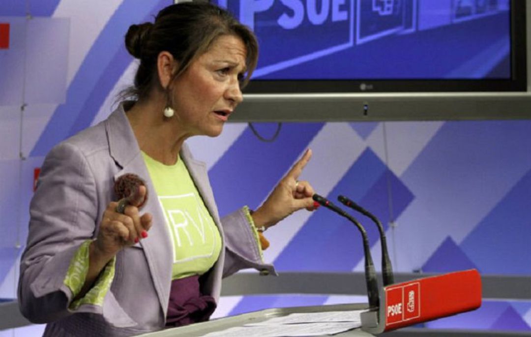 Rodríguez Piñero afirma que sí se han pedido garantías para dar el sí definitivo al acuerdo comercial UE-Mercosur Rodríguez Piñero afirma que sí se han pedido garantías para dar el sí definitivo al acuerdo comercial UE-Mercosur