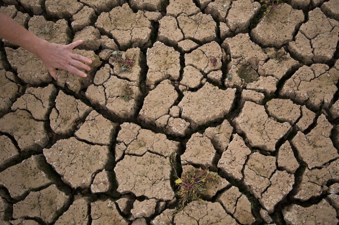 Tierra afectada por la sequía Tierra afectada por la sequía