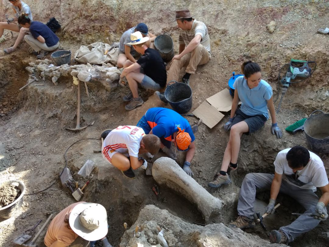 Paleontología: Campaña 16 en 'Tierra de dinosaurios' Paleontología: Campaña 16 en 'Tierra de dinosaurios'