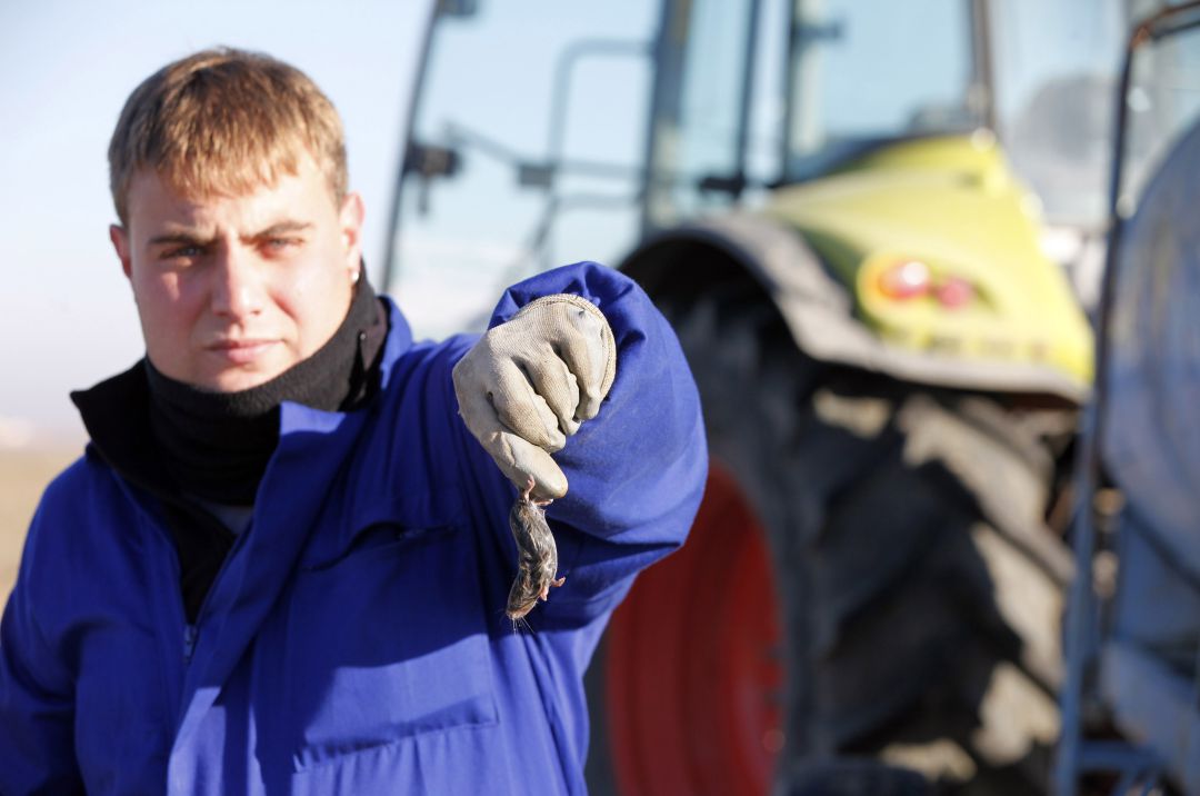 Un agricultor muestra un 'topillo' Un agricultor muestra un 'topillo'