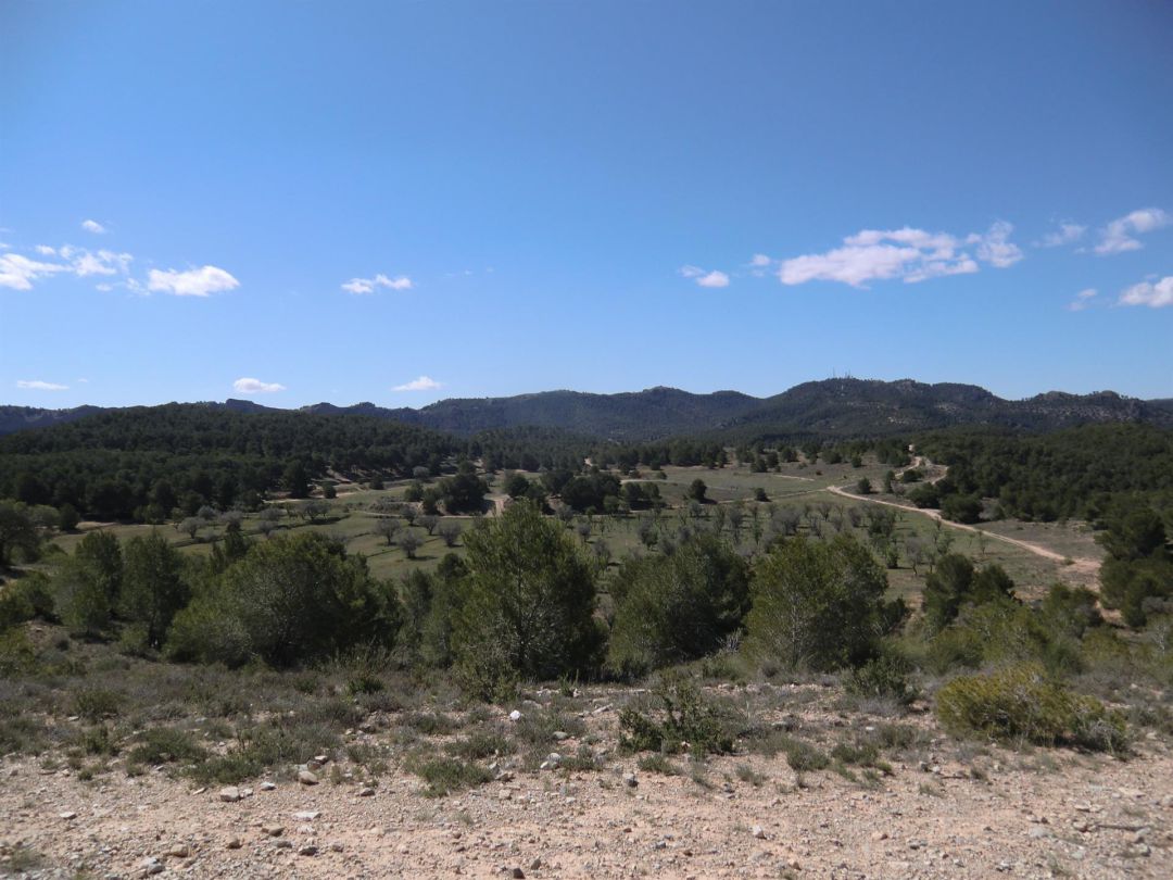 Los espacios naturales de la Región organizan una decena de actividades de educación ambiental Los espacios naturales de la Región organizan una decena de actividades de educación ambiental
