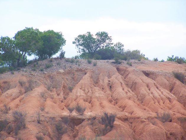 Desertificación y erosión de suelos, dos consecuencias del cambio climático. Desertificación y erosión de suelos, dos consecuencias del cambio climático.