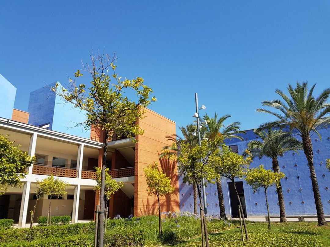 Imagen de archivo del Campus de Gandia. Imagen de archivo del Campus de Gandia.