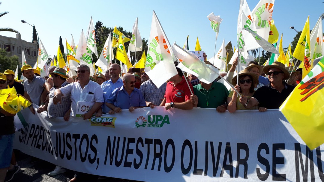 Miles de agricultores exigen en la calle ayudas por los bajos precios del aceite