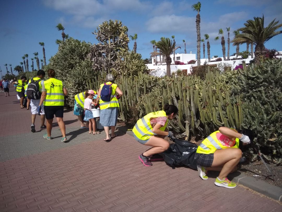 Voluntarios retirando residuos en tierra. Voluntarios retirando residuos en tierra.