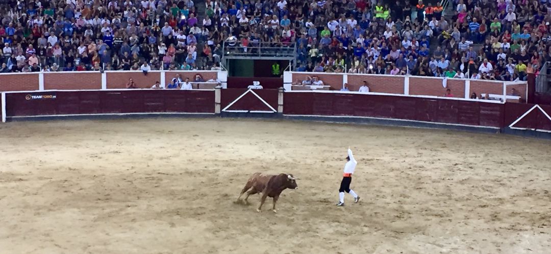 Evento taurino en la Plaza de Toros La Tercera de Sanse Evento taurino en la Plaza de Toros La Tercera de Sanse