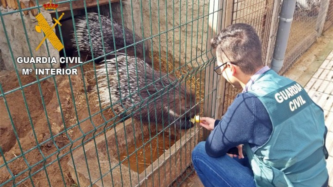Descubierto un zoo clandestino en Villafranca de los Barros con animales comercializados de forma ilegal