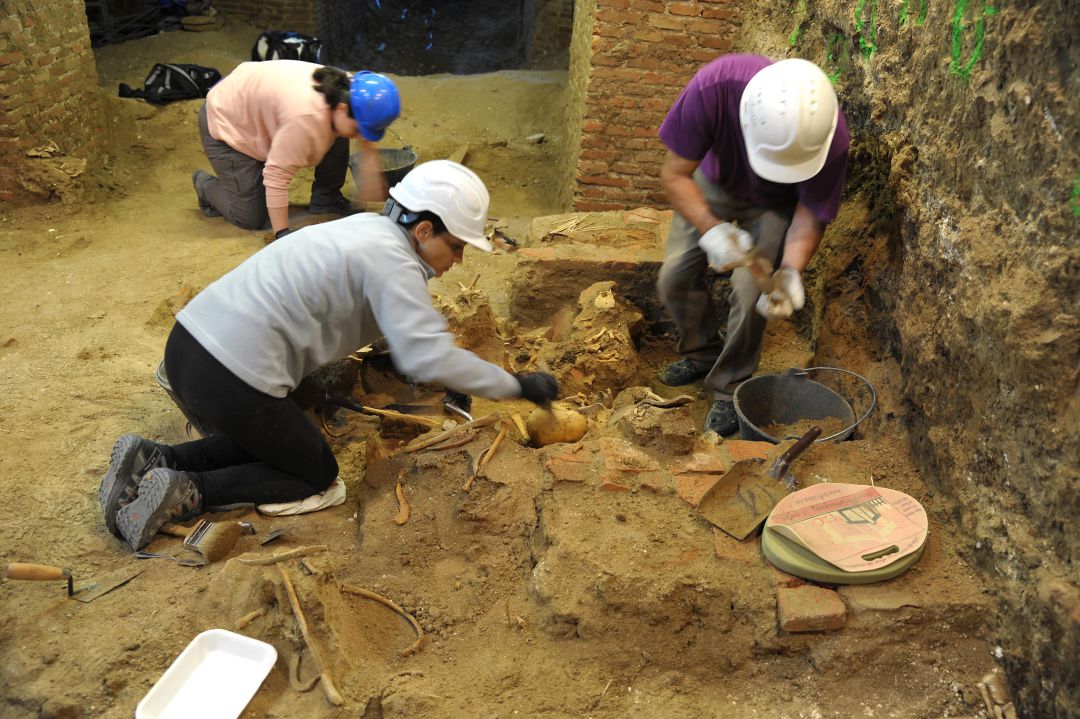 Labores de exhumación que se están llevando a cabo en la finca de "Los Alfredos" en Medina del Campo Labores de exhumación que se están llevando a cabo en la finca de "Los Alfredos" en Medina del Campo