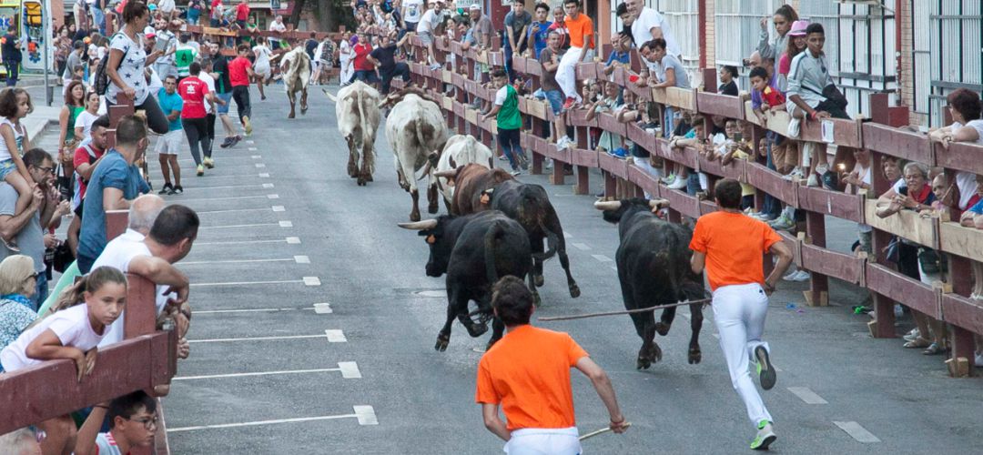 Los encierros de Leganés vuelven a estar en el aire a un mes de su celebración Los encierros de Leganés vuelven a estar en el aire a un mes de su celebración