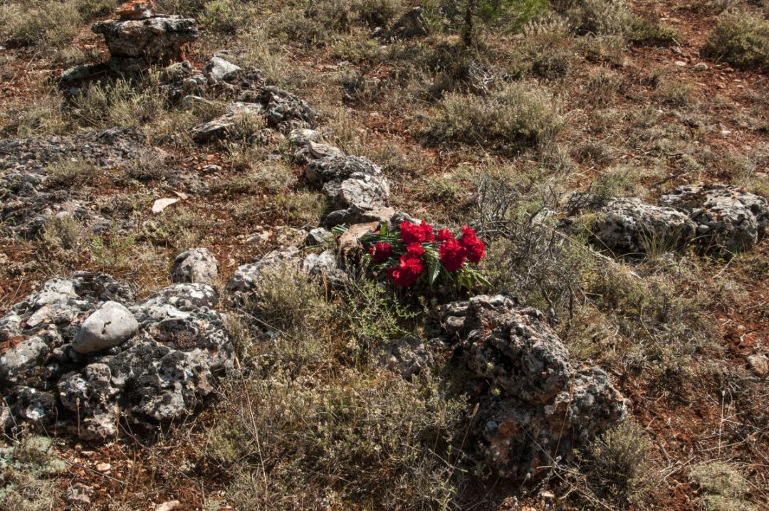 La asociación de Memoria Histórica de Soria exhumará una fosa con cuatro cuerpos en La Riba de Escalote La asociación de Memoria Histórica de Soria exhumará una fosa con cuatro cuerpos en La Riba de Escalote