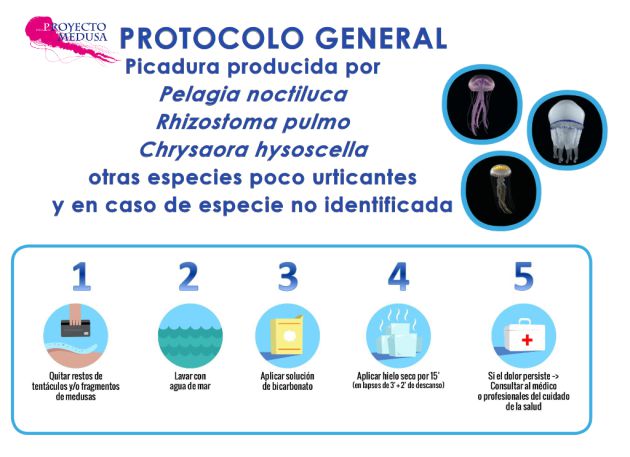 Cómo actuar en caso de picadura. Cómo actuar en caso de picadura.