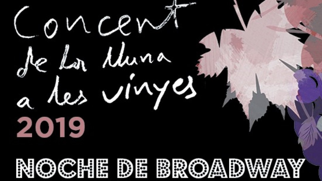Vuelve el concierto solidario "Concert de la Lluna a les Vinyes"