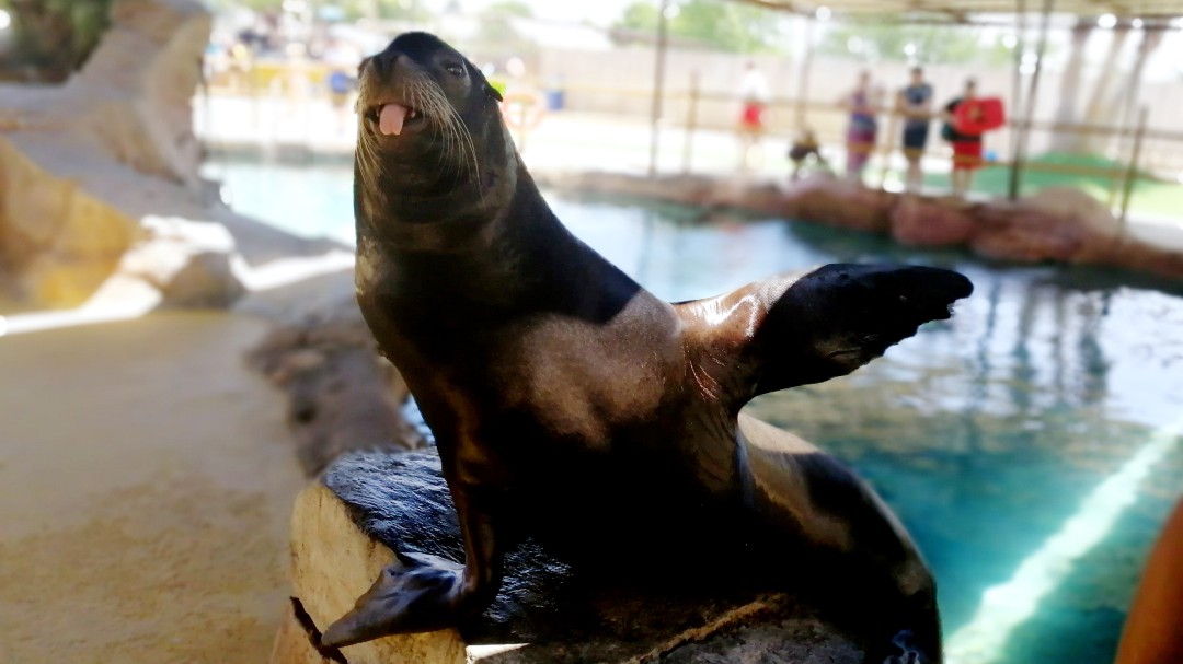 El verano comienza en Aqua Natura y Terra Natura Benidorm