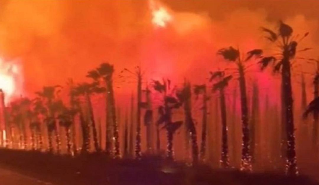 Detenido el presunto pirómano responsable de los últimos incendios en el Camp d'Elx Detenido el presunto pirómano responsable de los últimos incendios en el Camp d'Elx
