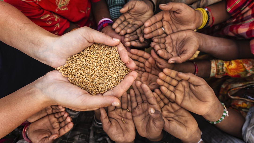La ONU retrata un mundo de malnutridos con más obesos que hambrientos