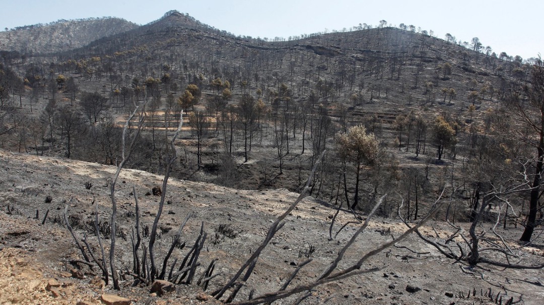 La rápida actuación y el viento evitan que el incendio haya sido mucho peor