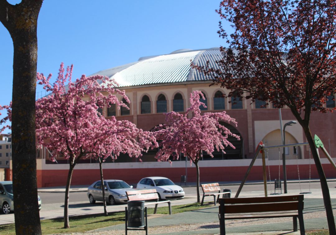 El Fandi, Manzanares y Roca Rey, fuera del pliego