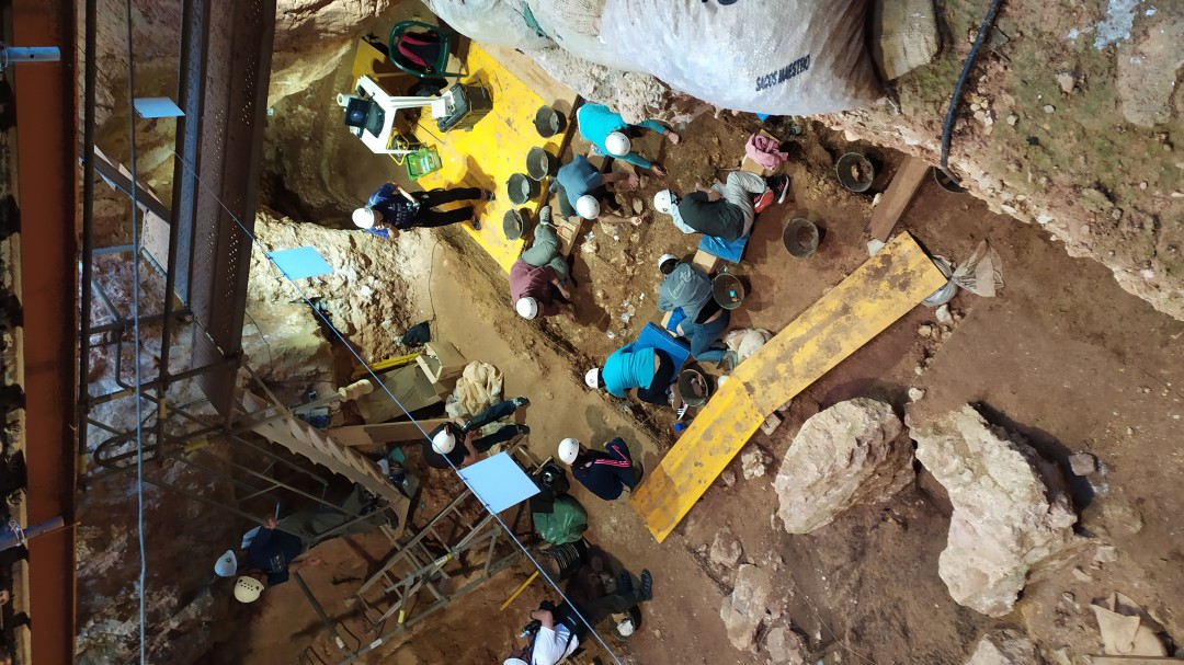 El Equipo de Atapuerca intenta completar la secuencia de la evolución
desde hace 1,4 millones