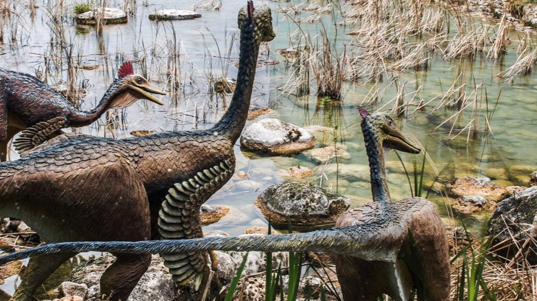 Un mundo de dinosaurios se esconde bajo las aguas de Buendía