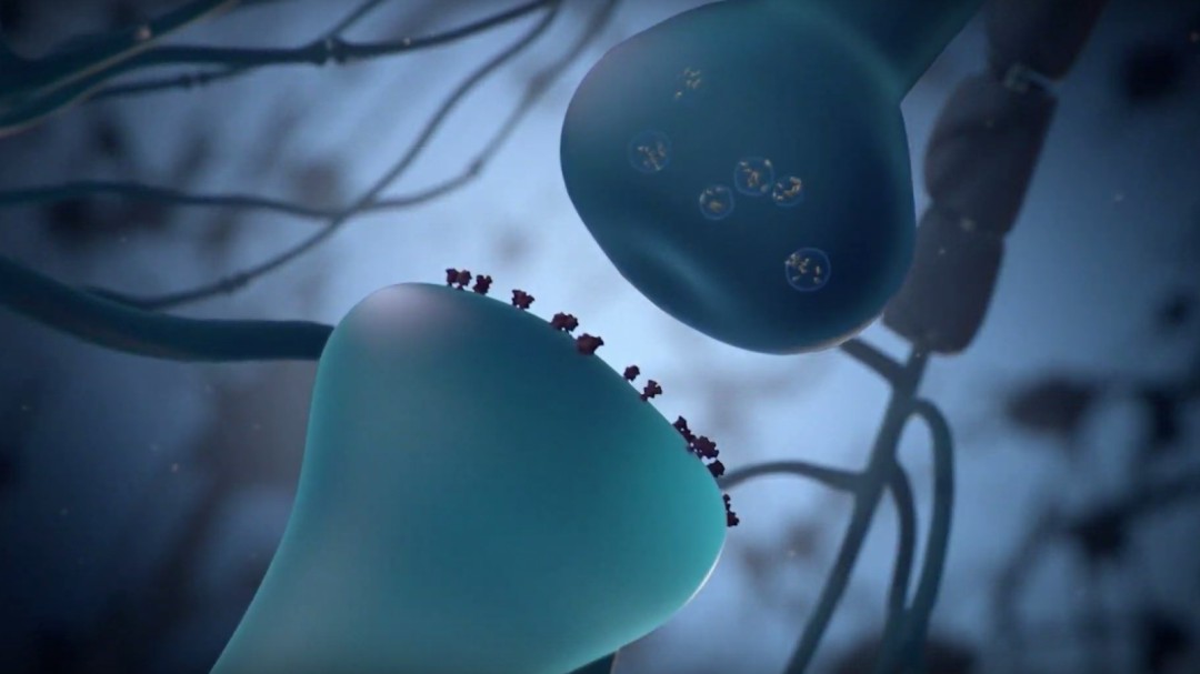 El proyecto de Elon Musk que conectará el cerebro humano con ordenadores