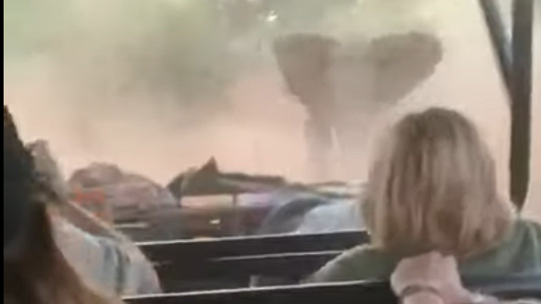 La violenta embestida de un elefante furioso a un todoterreno en un safari