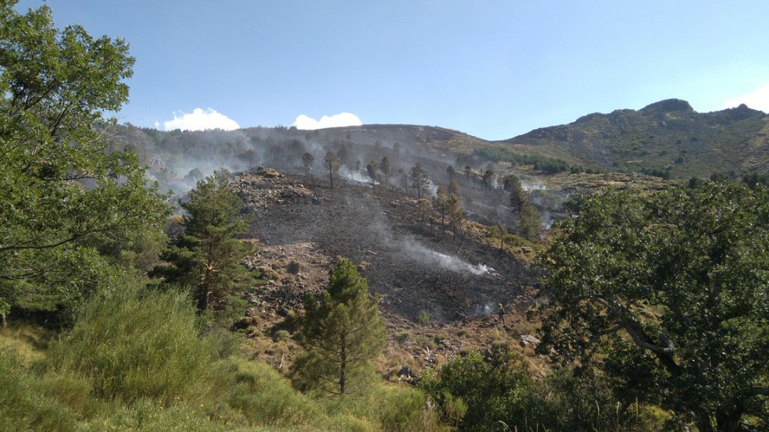 Desciende a nivel 0 el incendio de Sotillo de La Adrada